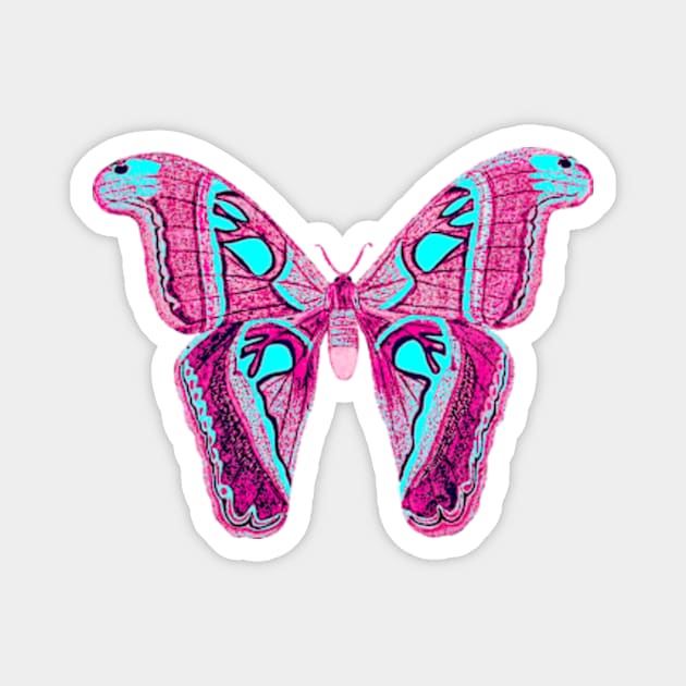 Pink butterfly Magnet by sungraphica