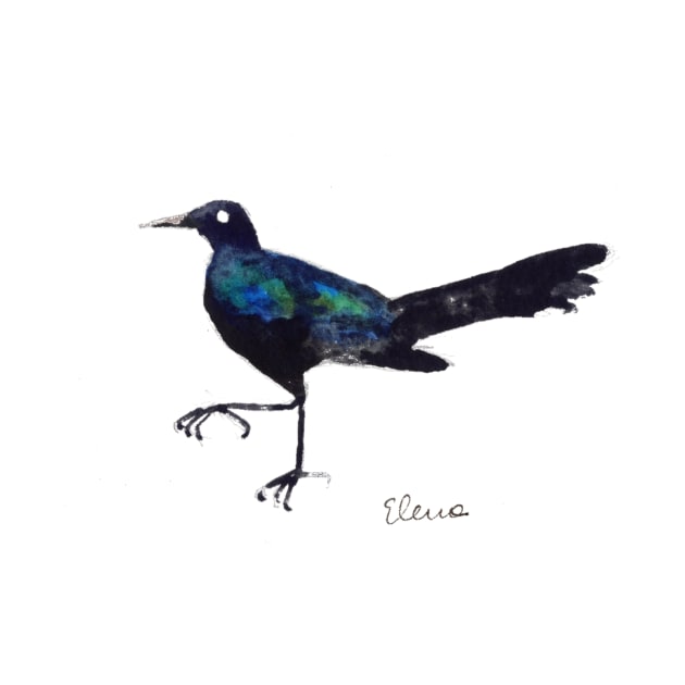 grackle by elenasandovici