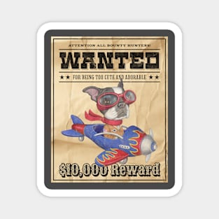 Funny Cute Boston Terrier Wanted Poster Magnet