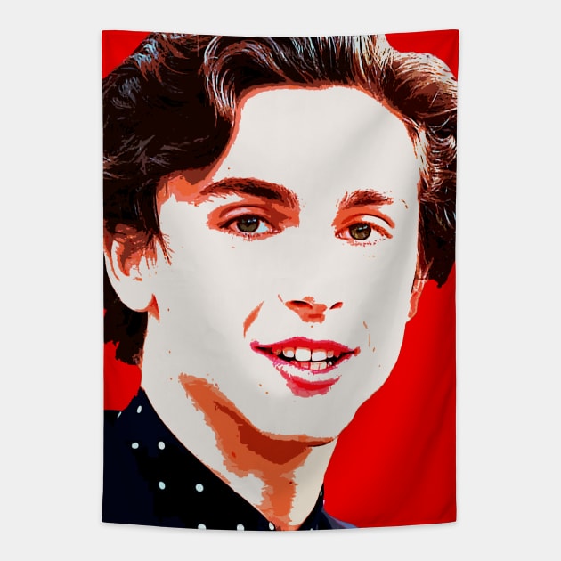 timothee chalamet