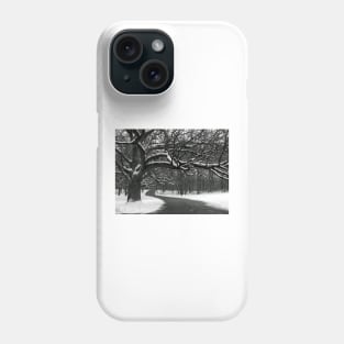 Winding Path Phone Case