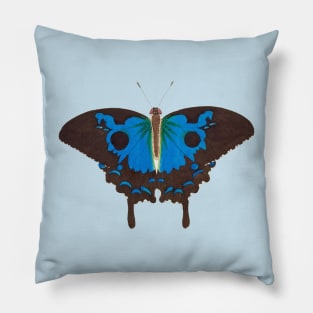 Stunning Blue Black Diomedes Butterfly Pillow