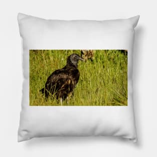 121416 buzzard Pillow