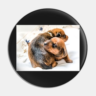 Two newborn red puppies Pin