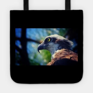 Gaze of Death Tote