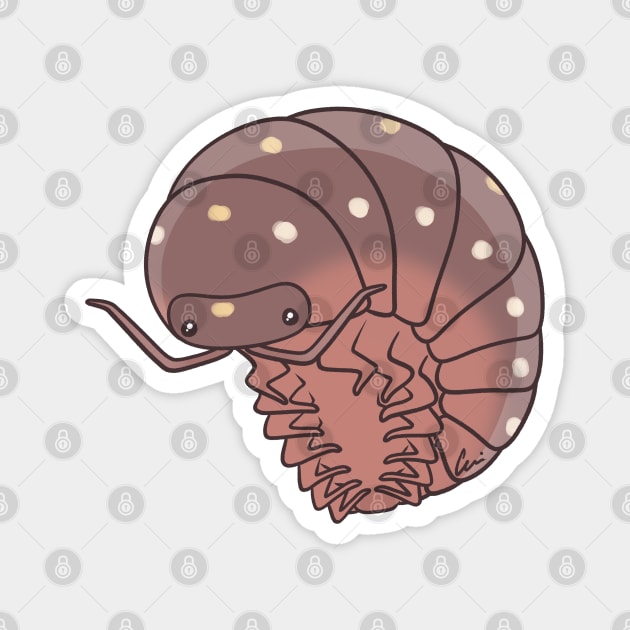 Montenegro Clown Isopod Or Pillbug - Armadillidium Klugii Magnet by anacecilia