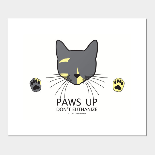 Paws Up Diluted Tortie Cats Posters And Art Prints