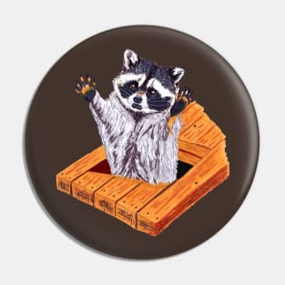 Peeking Raccoons Collection # Raccoon 5 Pin