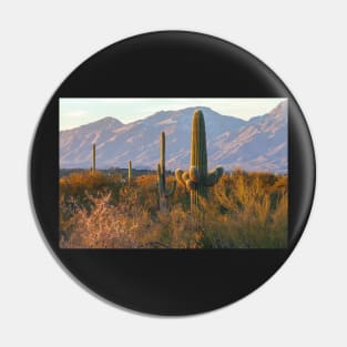 Sonoran Desert Sunset Pin