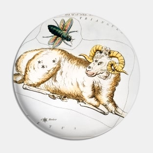 Aries and Musca Borealis by Sidney Hall (1831) Pin