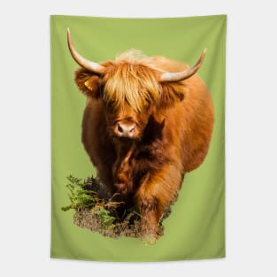 Highland Cow in Fern Tapestry