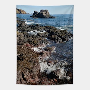 Rocky shoreline at St Abbs, Scotland Tapestry