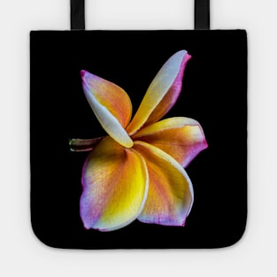 plumeria-flowers-frangipani-floral-awesome-bossom-shirtyshirto-39 Tote