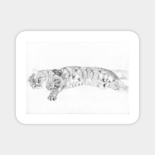 Tabby Cat relaxing Magnet