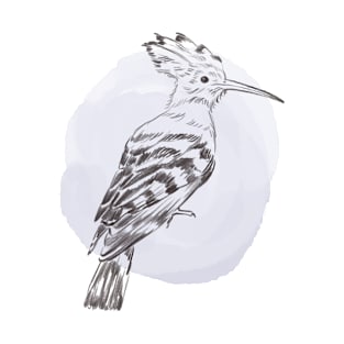 Hand drawn illustration of hoopoe forest bird T-Shirt