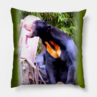 Sun Bear Pillow