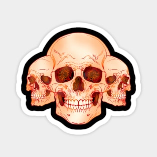 Triple skull Magnet