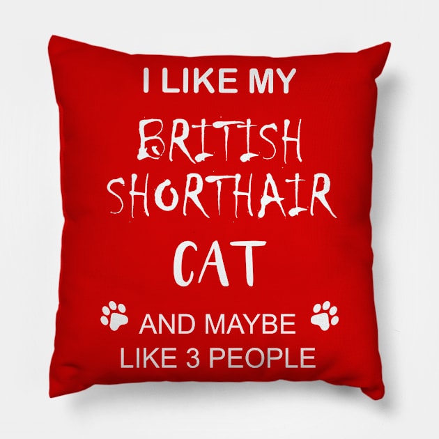 I like my british shorthair cat and maybe 3 people Pillow by ebiach