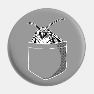 Pocket Moth Pin