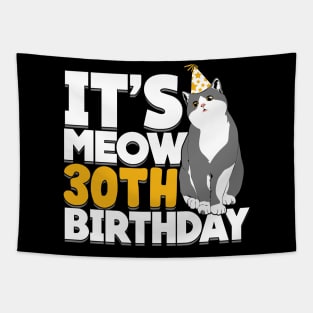 It's Meow 30th Birthday Cat Owner Gift Tapestry