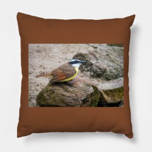 Great Kiskadee On The Rocks Pillow