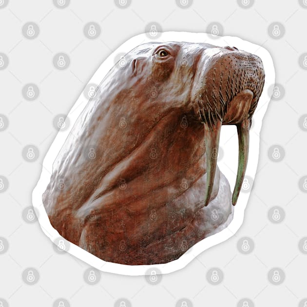 Walrus head statue Magnet by dalyndigaital2@gmail.com