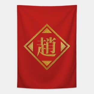 Zhao Family Name in Gold Tapestry