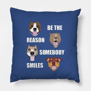 Be the Reason Somebody Smiles Pillow