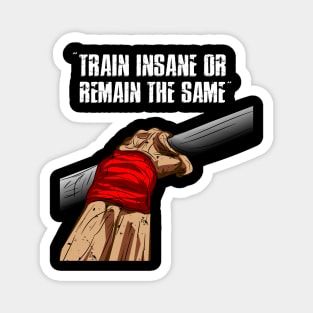 TRAIN INSANE - CALISTHENICS Magnet