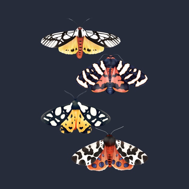 Tiger Moths by PerrinLeFeuvre