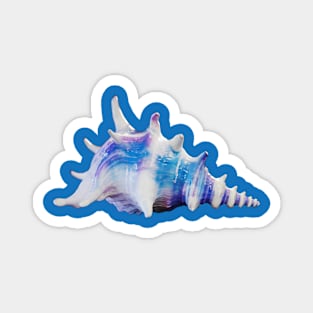 Single Seashell with Prominent Spikes and a Swirling Pattern Magnet