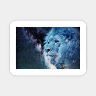 Galaxy Lion Magnet