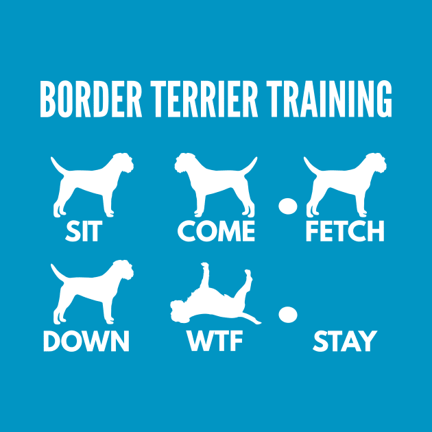 Border Terrier Training Border Terrier Dog Tricks by DoggyStyles