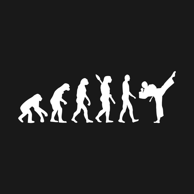 Evolution Karate by Designzz