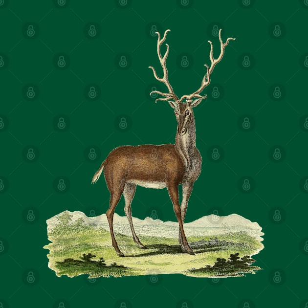 Deer Nature Illustration by Biophilia