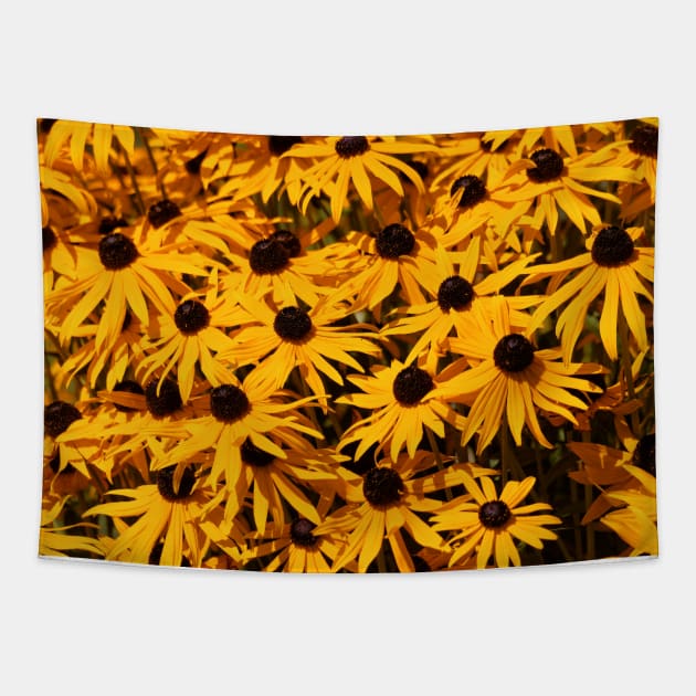 A Bed of Black-Eyed Susans / Rudbeckias in the Summer Sun Tapestry by walkswithnature