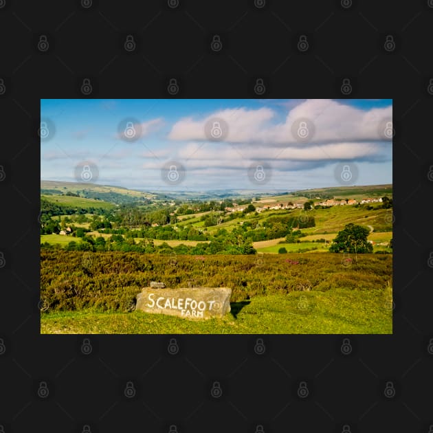 North Yorkshire Moors Landscape by MartynUK