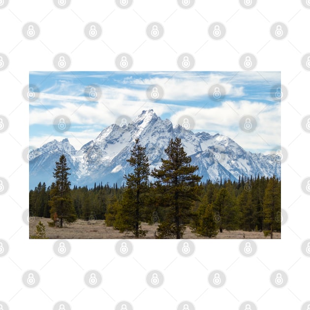 Snow-capped Mountains in Grand Teton National Park by SafariByMarisa