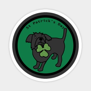 St Patricks Day with Cute Dog and Shamrock Magnet