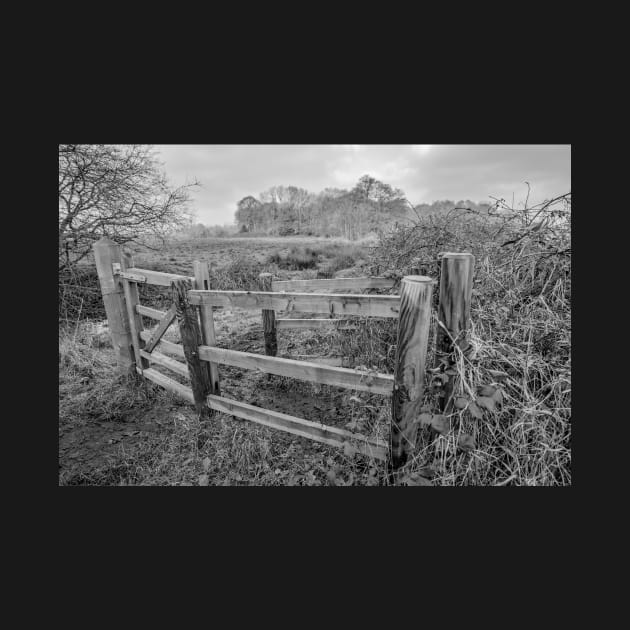 Wooden gate in the Norfolk countryside by yackers1