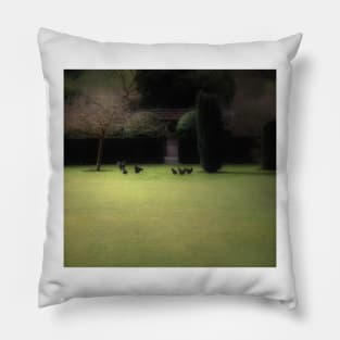 Hens in a Garden in Winter Pillow