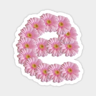 Letter e Pink Gerbera Daisy Magnet