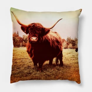 Highlands cow Pillow