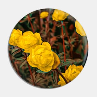 Globe flower illustration Pin