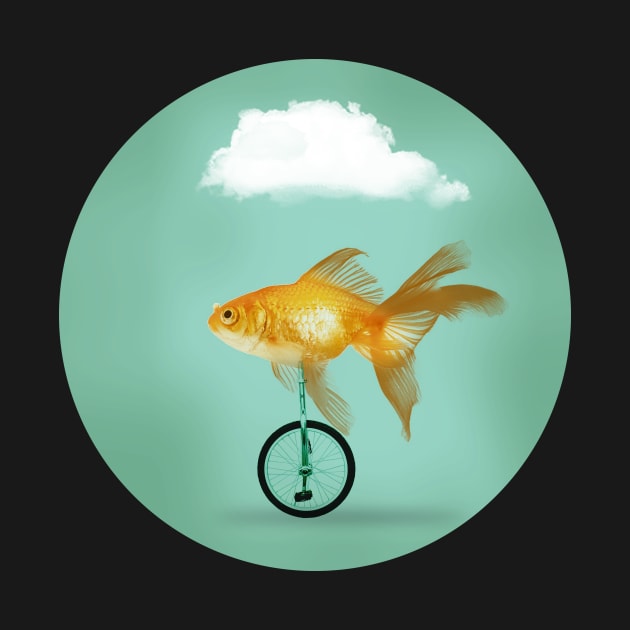Unicycle Goldfish 02 by Vin Zzep