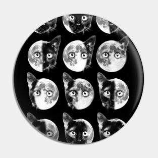 Cat moon phases Pin