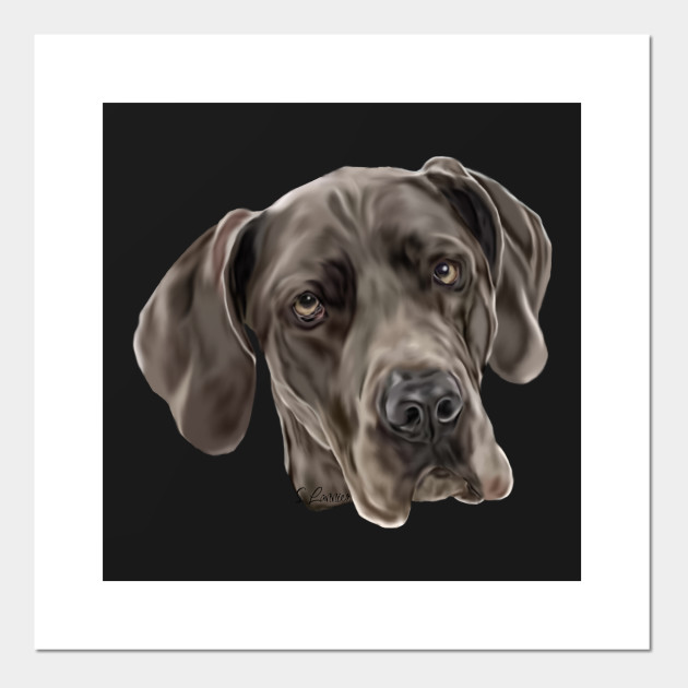 Blue Great Dane Great Danes Posters And Art Prints Teepublic