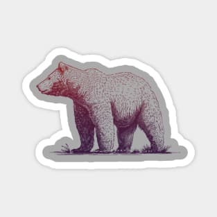 Beary Beautiful Graphic Grizzly Magnet