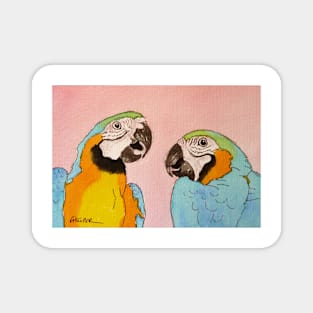 Macaws Magnet