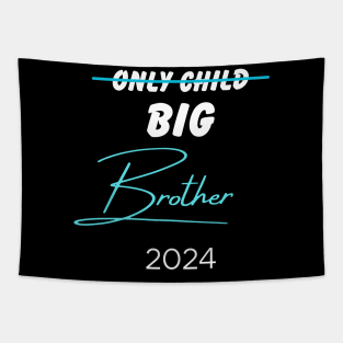 Only Child Big Brother 2024 Tapestry